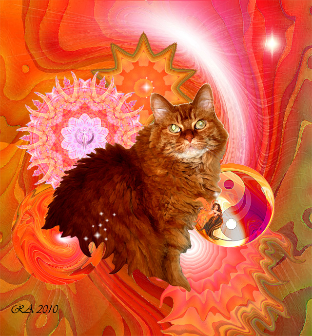 Cat Aura Portrait