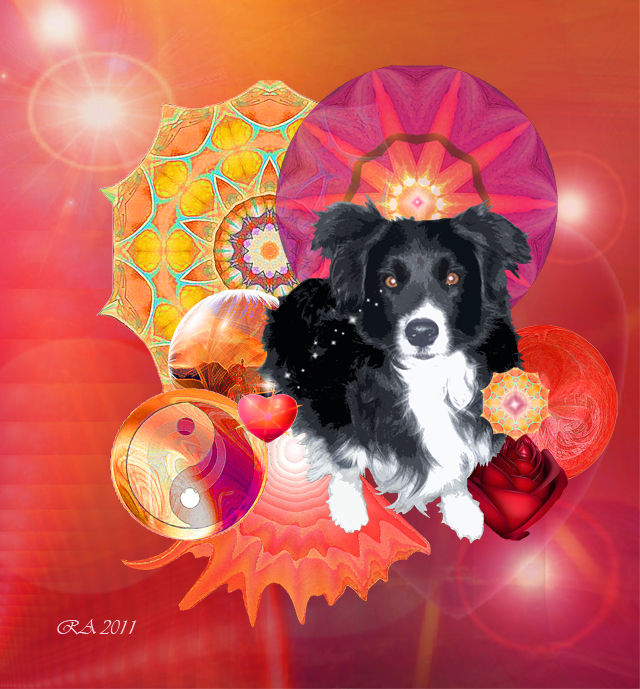 Aura Portrait for Dog