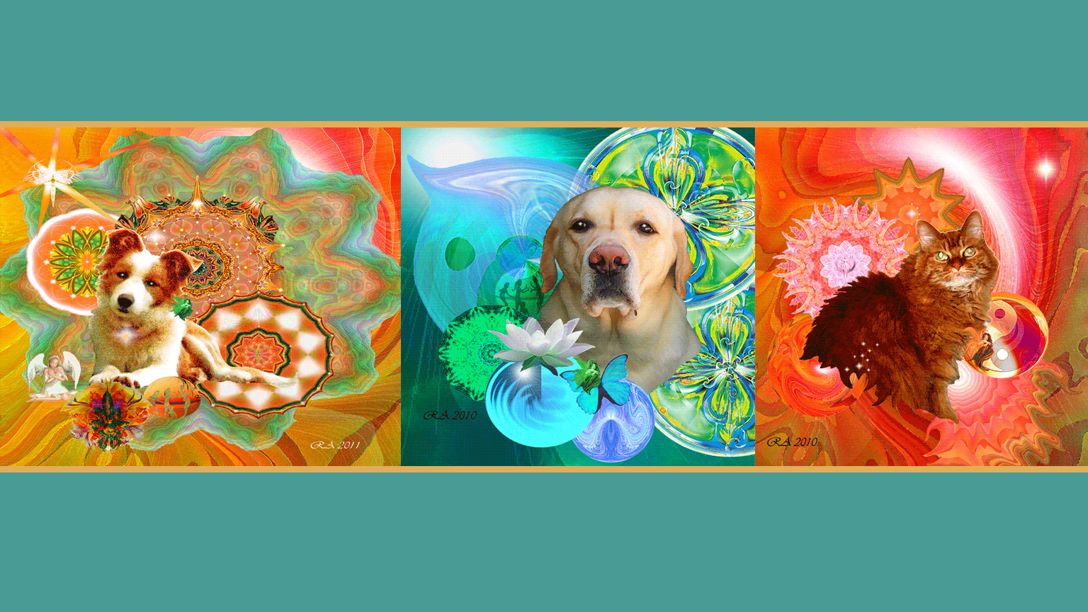 Aura Portraits for Pets