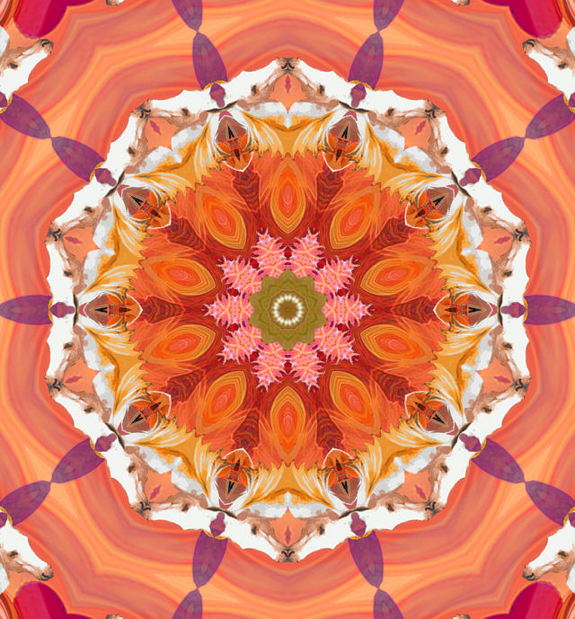 Aura Portraits with a full Aura Color Interpretation To Change Your